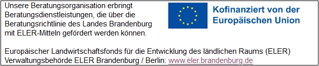 Kofinanziewrt von der Europäischen Union