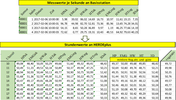 smardwatch Daten